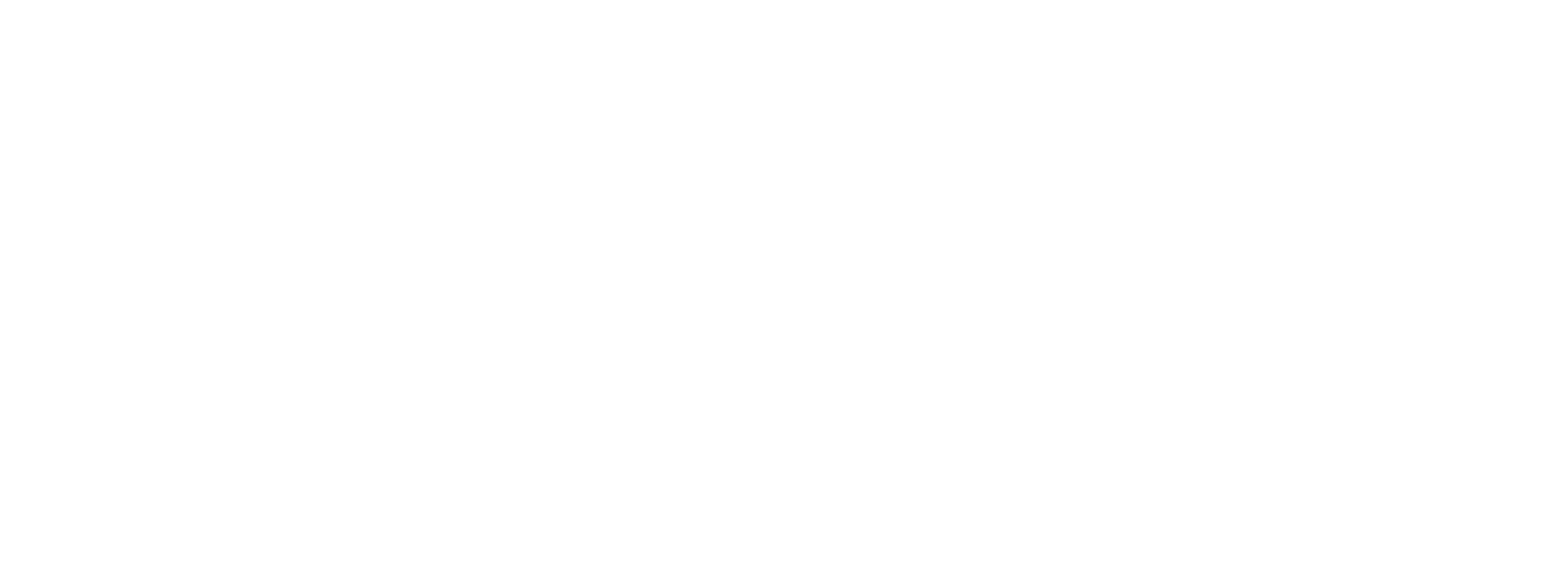 Logo der Tanzschule Santner
